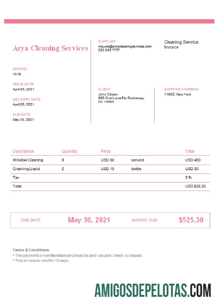 Fatura de serviços de limpeza Arya dos EUA exemplo